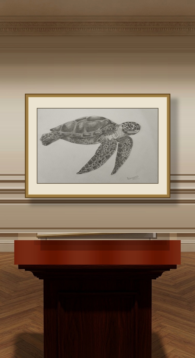 Desenho de Observação